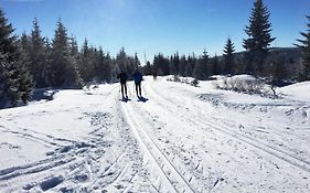 Apartmány Stožec - Gabreta Premium